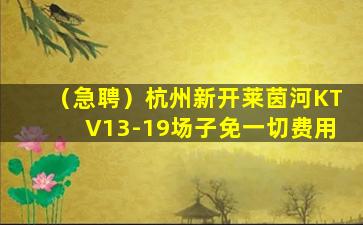 山东酒吧招聘